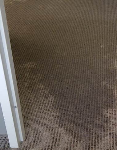 Carpet From Flood Damage Restoration Service In Adelaide