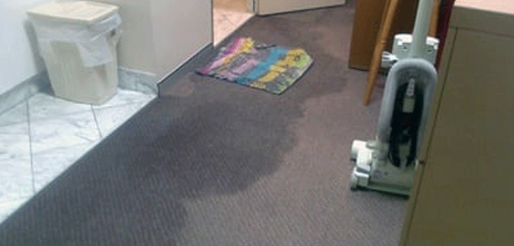 Flood Damage Carpet Restoration Blakeview